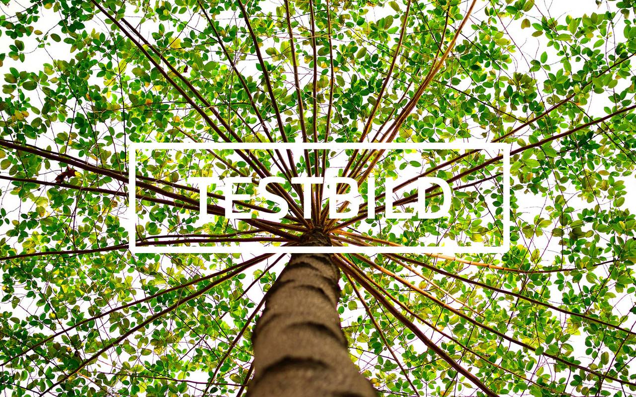 alternativer alternativloser aletrnativtext geblates