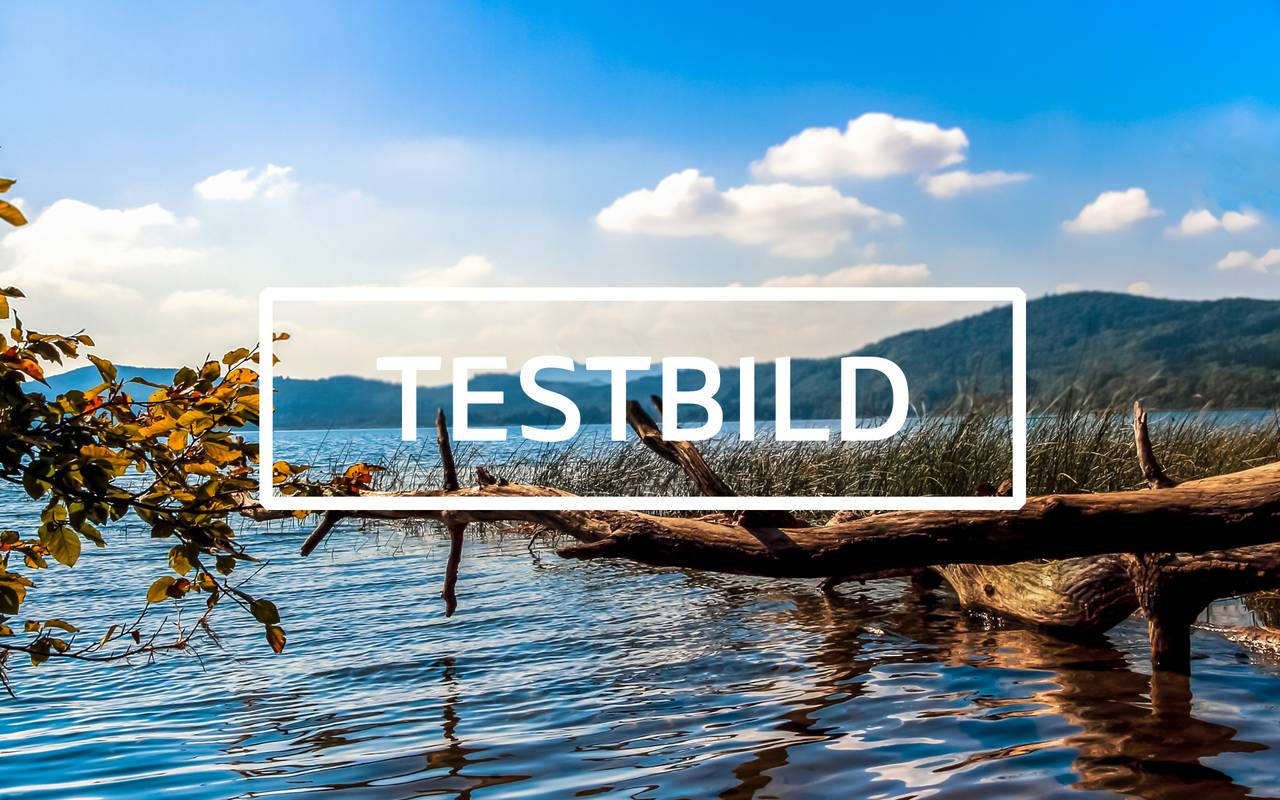 Alternativtext. Dies ist ein Typoblindtext. An ihm kann man sehen, ob alle Buchstaben da sind und wie sie aussehen. Manchmal benutzt man Worte wie Hamburgefonts, Rafgenduks oder Handgloves, um Schriften zu testen. Manchmal Sätze, die alle Buchstaben des Alphabets enthalten - man nennt diese Sätze »Pangrams«. Sehr bekannt ist dieser: The quick brown fox jumps over the lazy old dog. Oft werden in Typoblindtexte auch fremdsprachige Satzteile eingebaut (AVAIL® and Wefox™ are testing aussi la Kerning), um die Wirkung in anderen Sprachen zu testen. In Lateinisch sieht zum Beispiel fast jede Schrift gut aus. Quod erat demonstrandum. Seit 1975 fehlen in den meisten Testtexten die Zahlen, weswegen nach TypoGb. 204 § ab dem Jahr 2034 Zahlen in 86 der Texte zur Pflicht werden. Nichteinhaltung wird mit bis zu 245 € oder 368 $ bestraft. Genauso wichtig in sind mittlerweile auch Âçcèñtë, die in neueren Schriften aber fast immer enthalten sind. Ein wichtiges aber schwierig zu integrierendes Feld sind OpenType-Funktionalitäten.  Je nach Software und Voreinstellungen können eingebaute Kapitälchen, Kerning oder Ligaturen (sehr pfiffig) nicht richtig dargestellt werden. Dies ist ein Typoblindtext. An ihm kann man sehen, ob alle Buchstaben da sind und wie sie aussehen. Manchmal benutzt man Worte wie Hamburgefonts, Rafgenduks oder Handgloves, um Schriften zu testen. Manchmal Sätze, die alle Buchstaben des Alphabets enthalten - man nennt diese Sätze »Pangrams«. Sehr bekannt ist dieser: The quick brown fox jumps over the lazy old dog. Oft werden in Typoblindtexte auch fremdsprachige Satzteile eingebaut (AVAIL® and Wefox™ are testing aussi la Kerning), um die Wirkung in anderen Sprachen zu testen. In Lateinisch sieht zum Beispiel fast jede Schrift gut aus. Quod erat demonstrandum. Seit 1975 fehlen in den meisten Testtexten die Zahlen, weswegen nach TypoGb. 204 § ab dem Jahr 2034 Zahlen in 86 der Texte zur Pflicht werden. Nichteinhaltung wird mit bis zu 245 € oder 368 $ bestraft.  Genauso wichtig in sind mittlerweile auch Âçcèñtë, die in neueren Schriften aber fast immer enthalten sind. Ein wichtiges aber schwierig zu integrierendes Feld sind OpenType-Funktionalitäten. Je nach Software und Voreinstellungen können eingebaute Kapitälchen, Kerning oder Ligaturen (sehr pfiffig) nicht richtig dargestellt werden. Dies ist ein Typoblindtext. An ihm kann man sehen, ob alle Buchstaben da sind und wie sie aussehen. Manchmal benutzt man Worte wie Hamburgefonts, Rafgenduks oder Handgloves, um Schriften zu testen. Manchmal Sätze, die alle Buchstaben des Alphabets enthalten - man nennt diese Sätze »Pangrams«. Sehr bekannt ist dieser: The quick brown fox jumps over the lazy old dog. Oft werden in Typoblindtexte auch fremdsprachige Satzteile eingebaut (AVAIL® and Wefox™ are testing aussi la Kerning), um die Wirkung in anderen Sprachen zu testen. In Lateinisch sieht zum Beispiel fast jede Schrift gut aus. Quod erat demonstrandum. Seit 1975 fehlen in den meisten Testtexten die Zahlen, weswegen nach TypoGb.  204 § ab dem Jahr 2034 Zahlen in 86 der Texte zur Pflicht werden. Nichteinhaltung wird mit bis zu 245 € oder 368 $ bestraft. Genauso wichtig in sind mittlerweile auch Âçcèñtë, die in neueren Schriften aber fast immer enthalten sind. Ein wichtiges aber schwierig zu integrierendes Feld sind OpenType-Funktionalitäten. Je nach Software und Voreinstellungen können eingebaute Kapitälchen, Kerning oder Ligaturen (sehr pfiffig) nicht richtig dargestellt werden. Dies ist ein Typoblindtext. An ihm kann man sehen, ob alle Buchstaben da sind und wie sie aussehen. Manchmal benutzt man Worte wie Hamburgefonts, Rafgenduks oder Handgloves, um Schriften zu testen. Manchmal Sätze, die alle Buchstaben des Alphabets enthalten - man nennt diese Sätze »Pangrams«. Sehr bekannt ist dieser: The quick brown fox jumps over the lazy old dog. Oft werden in Typoblindtexte auch fremdsprachige Satzteile eingebaut (AVAIL® and Wefox™ are testing aussi la Kerning), um die Wirkung in anderen Sprachen zu testen. In Lateinisch sieht zum Beispiel fast jede Schrift gut aus.  Quod erat demonstrandum. Seit 1975 fehlen in den meisten Testtexten die Zahlen, weswegen nach TypoGb. 204 § ab dem Jahr 2034 Zahlen in 86 der Texte zur Pflicht werden. Nichteinhaltung wird mit bis zu 245 € oder 368 $ bestraft. Genauso wichtig in sind mittlerweile auch Âçcèñtë, die in neueren Schriften aber fast immer enthalten sind. Ein wichtiges aber schwierig zu integrierendes Feld sind OpenType-Funktionalitäten. Je nach Software und Voreinstellungen können eingebaute Kapitälchen, Kerning oder Ligaturen (sehr pfiffig) nicht richtig dargestellt werden. Dies ist ein Typoblindtext. An ihm kann man sehen, ob alle Buchstaben da sind und wie sie aussehen. Manchmal benutzt man Worte wie Hamburgefonts, Rafgenduks oder Handgloves, um Schriften zu testen. Manchmal Sätze, die alle Buchstaben des Alphabets enthalten - man nennt diese Sätze »Pangrams«. Sehr bekannt ist dieser: The quick brown fox jumps over the lazy old dog.  Oft werden in Typoblindtexte auch fremdsprachige Satzteile eingebaut (AVAIL® and Wefox™ are testing aussi la Kerning), um die Wirkung in anderen Sprachen zu testen. In Lateinisch sieht zum Beispiel fast jede Schrift gut aus. Quod erat demonstrandum. Seit 1975 fehlen in den meisten Testtexten die Zahlen, weswegen nach TypoGb. 204 § ab dem Jahr 2034 Zahlen in 86 der Texte zur Pflicht werden. Nichteinhaltung wird mit bis zu 245 € oder 368 $ bestraft. Genauso wichtig in sind mittlerweile auch Âçcèñtë, die in neueren Schriften aber fast immer enthalten sind. Ein wichtiges aber schwierig zu integrierendes Feld sind OpenType-Funktionalitäten. Je nach Software und Voreinstellungen können eingebaute Kapitälchen, Kerning oder Ligaturen (sehr pfiffig) nicht richtig dargestellt werden. Dies ist ein Typoblindtext. An ihm kann man sehen, ob alle Buchstaben da sind und wie sie aussehen. Manchmal benutzt man Worte wie Hamburgefonts, Rafgenduks oder Handgloves, um Schriften zu testen.  Manchmal Sätze, die alle Buchstaben des Alphabets enthalten - man nennt diese Sätze »Pangrams«. Sehr bekannt ist dieser: The quick brown fox jumps over the lazy old dog. Oft werden in Typoblindtexte auch fremdsprachige Satzteile eingebaut (AVAIL® and Wefox™ are testing aussi la Kerning), um die Wirkung in anderen Sprachen zu testen. In Lateinisch sieht zum Beispiel fast jede Schrift gut aus. Quod erat demonstrandum. Seit 1975 fehlen in den meisten Testtexten die Zahlen, weswegen nach TypoGb. 204 § ab dem Jahr 2034 Zahlen in 86 der Texte zur Pflicht werden. Nichteinhaltung wird mit bis zu 245 € oder 368 $ bestraft. Genauso wichtig in sind mittlerweile auch Âçcèñtë, die in neueren Schriften aber fast immer enthalten sind. Ein wichtiges aber schwierig zu integrierendes Feld sind OpenType-Funktionalitäten. Je nach Software und Voreinstellungen können eingebaute Kapitälchen, Kerning oder Ligaturen (sehr pfiffig) nicht richtig dargestellt werden. Dies ist ein Typoblindtext. An ihm kann man sehen, ob alle Buchstaben da sind und wie sie aussehen.  Manchmal benutzt man Worte wie Hamburgefonts, Rafgenduks oder Handgloves, um Schriften zu testen. Manchmal Sätze, die alle Buchstaben des Alphabets enthalten - man nennt diese Sätze »Pangrams«. Sehr bekannt ist dieser: The quick brown fox jumps over the lazy old dog. Oft werden in Typoblindtexte auch fremdsprachige Satzteile eingebaut (AVAIL® and Wefox™ are testing aussi la Kerning), um die Wirkung in anderen Sprachen zu testen. In Lateinisch sieht zum Beispiel fast jede Schrift gut aus. Quod erat demonstrandum. Seit 1975 fehlen in den meisten Testtexten die Zahlen, weswegen nach TypoGb. 204 § ab dem Jahr 2034 Zahlen in 86 der Texte zur Pflicht werden. Nichteinhaltung wird mit bis zu 245 € oder 368 $ bestraft. Genauso wichtig in sind mittlerweile auch Âçcèñtë, die in neueren Schriften aber fast immer enthalten sind. Ein wichtiges aber schwierig zu integrierendes Feld sind OpenType-Funktionalitäten. Je nach Software und Voreinstellungen können eingebaute Kapitälchen, Kerning oder Ligaturen (sehr pfiffig) nicht richtig dargestellt werden.  Dies ist ein Typoblindtext. An ihm kann man sehen, ob alle Buchstaben da sind und wie sie aussehen. Manchmal benutzt man Worte wie Hamburgefonts, Rafgenduks oder Handgloves, um Schriften zu testen. Manchmal Sätze, die alle Buchstaben des Alphabets enthalten - man nennt diese Sätze »Pangrams«. Sehr bekannt ist dieser: The quick brown fox jumps over the lazy old dog. Oft werden in Typoblindtexte auch fremdsprachige Satzteile eingebaut (AVAIL® and Wefox™ are testing aussi la Kerning), um die Wirkung in anderen Sprachen zu testen. In Lateinisch sieht zum Beispiel fast jede Schrift gut aus. Quod erat demonstrandum. Seit 1975 fehlen in den meisten Testtexten die Zahlen, weswegen nach TypoGb. 204 § ab dem Jahr 2034 Zahlen in 86 der Texte zur Pflicht werden. Nichteinhaltung wird mit bis zu 245 € oder 368 $ bestraft. Genauso wichtig in sind mittlerweile auch Âçcèñtë, die in neueren Schriften aber fast immer enthalten sind. Ein wichtiges aber schwierig zu integrierendes Feld sind OpenType-Funktionalitäten.  Je nach Software und Voreinstellungen können eingebaute Kapitälchen, Kerning oder Ligaturen (sehr pfiffig) nicht richtig dargestellt werden. Dies ist ein Typoblindtext. An ihm kann man sehen, ob alle Buchstaben da sind und wie sie aussehen. Manchmal benutzt man Worte wie Hamburgefonts, Rafgenduks oder Handgloves, um Schriften zu testen. Manchmal Sätze, die alle Buchstaben des Alphabets enthalten - man nennt diese Sätze »Pangrams«. Sehr bekannt ist dieser: The quick brown fox jumps over the lazy old dog. Oft werden in Typoblindtexte auch fremdsprachige Satzteile eingebaut (AVAIL® and Wefox™ are testing aussi la Kerning), um die Wirkung in anderen Sprachen zu testen. In Lateinisch sieht zum Beispiel fast jede Schrift gut aus. Quod erat demonstrandum. Seit 1975 fehlen in den meisten Testtexten die Zahlen, weswegen nach TypoGb. 204 § ab dem Jahr 2034 Zahlen in 86 der Texte zur Pflicht werden. Nichteinhaltung wird mit bis zu 245 € oder 368 $ bestraft. Genauso wichtig in sind mittlerweile auch Âçcèñtë, die in neueren Schriften aber fast immer enthalten sind.  Ein wichtiges aber schwierig zu integrierendes Feld sind OpenType-Funktionalitäten. Je nach Software und Voreinstellungen können eingebaute Kapitälchen, Kerning oder Ligaturen (sehr pfiffig) nicht richtig dargestellt werden. Dies ist ein Typoblindtext. An ihm kann man sehen, ob alle Buchstaben da sind und wie sie aussehen. Manchmal benutzt man Worte wie Hamburgefonts, Rafgenduks oder Handgloves, um Schriften zu testen. Manchmal Sätze, die alle Buchstaben des Alphabets enthalten - man nennt diese Sätze »Pangrams«. Sehr bekannt ist dieser: The quick brown fox jumps over the lazy old dog. Oft werden in Typoblindtexte auch fremdsprachige Satzteile eingebaut (AVAIL® and Wefox™ are testing aussi la Kerning), um die Wirkung in anderen Sprachen zu testen. In Lateinisch sieht zum Beispiel fast jede Schrift gut aus. Quod erat demonstrandum. Seit 1975 fehlen in den meisten Testtexten die Zahlen, weswegen nach TypoGb. 204 § ab dem Jahr 2034 Zahlen in 86 der Texte zur Pflicht werden. Nichteinhaltung wird mit bis zu 245 € oder 368 $ bestraft.  Genauso wichtig in sind mittlerweile auch Âçcèñtë, die in neueren Schriften aber fast immer enthalten sind. Ein wichtiges aber schwierig zu integrierendes Feld sind OpenType-Funktionalitäten. Je nach Software und Voreinstellungen können eingebaute Kapitälchen, Kerning oder Ligaturen (sehr pfiffig) nicht richtig dargestellt werden. Dies ist ein Typoblindtext. An ihm kann man sehen, ob alle Buchstaben da sind und wie sie aussehen. Manchmal benutzt man Worte wie Hamburgefonts, Rafgenduks oder Handgloves, um Schriften zu testen. Manchmal Sätze, die alle Buchstaben des Alphabets enthalten - man nennt diese Sätze »Pangrams«. Sehr bekannt ist dieser: The quick brown fox jumps over the lazy old dog. Oft werden in Typoblindtexte auch fremdsprachige Satzteile eingebaut (AVAIL® and Wefox™ are testing aussi la Kerning), um die Wirkung in anderen Sprachen zu testen. In Lateinisch sieht zum Beispiel fast jede Schrift gut aus. Quod erat demonstrandum. Seit 1975 fehlen in den meisten Testtexten die Zahlen, weswegen nach TypoGb. 204 § ab dem Jahr 2034 Zahlen in 86 der Texte zur Pflicht werden. Nichteinhaltung wird mit bis zu 245 € oder 368 $ bestraft. Genauso wichtig in sind mittlerweile auch Âçcèñtë, die in neueren Schriften aber fast immer enthalten sind. Ein wichtiges aber schwierig zu integrierendes Feld sind OpenType-Funktionalitäten. Je nach Software und Voreinstellungen können eingebaute Kapitälchen, Kerning oder Ligaturen (sehr pfiffig) nicht richtig dargestellt werden. Dies ist ein Typoblindtext. An ihm kann man sehen, ob alle Buchstaben da sind und wie sie aussehen. Manchmal benutzt man Worte wie Hamburgefonts, Rafgenduks oder Handgloves, um Schriften zu testen. Manchmal Sätze, die alle Buchstaben des Alphabets enthalten - man nennt diese Sätze »Pangrams«. Sehr bekannt ist dieser: The quick brown fox jumps over the lazy old dog. Oft werden in Typoblindtexte auch fremdsprachige Satzteile eingebaut (AVAIL® and Wefox™ are testing aussi la Kerning),